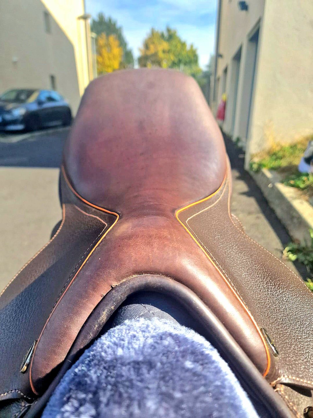 Selle mixte Ronzon marron, média 2