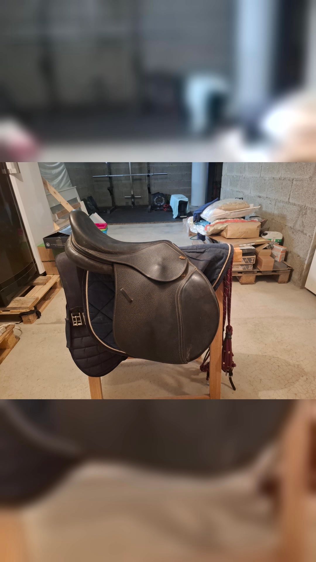Selle Eric Thomas 17,5, média 2