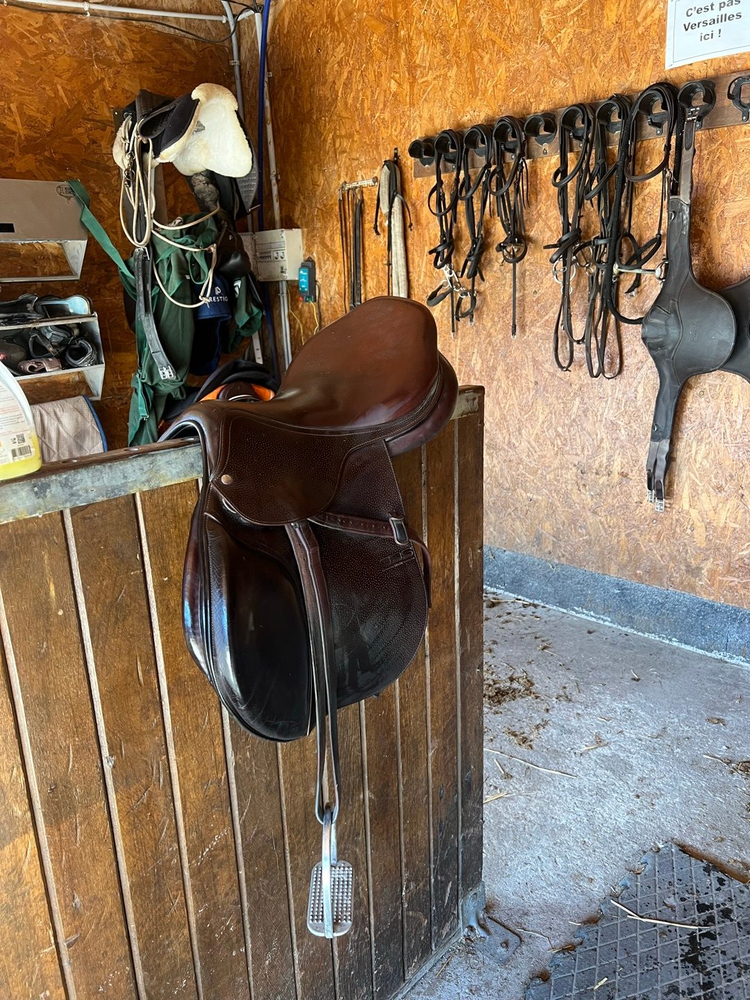 Selle GBS 18 2023, média 5