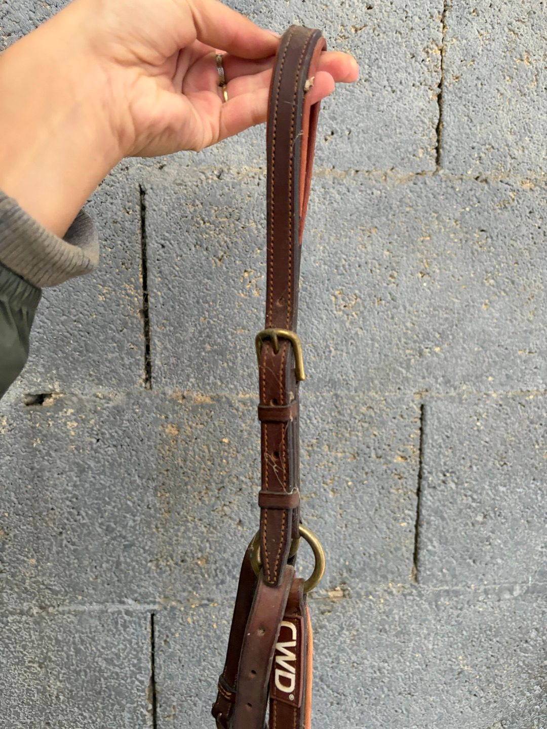 Collier de chasse CWD à pont réglable, média 4