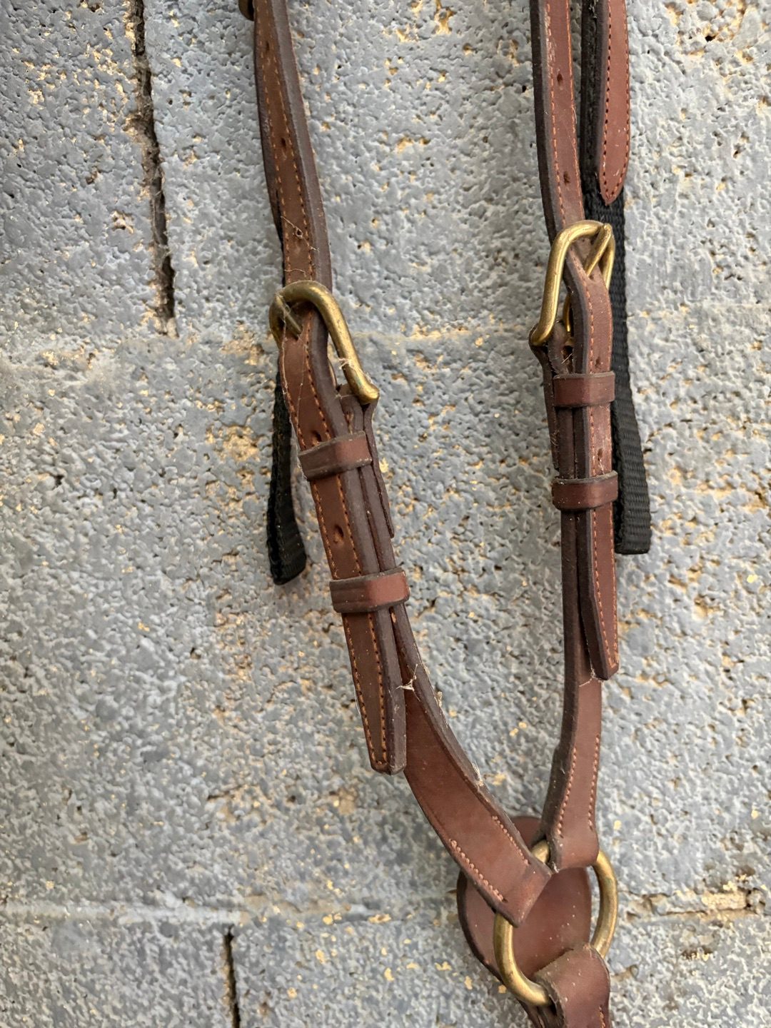 Collier de chasse CWD à pont réglable, média 7