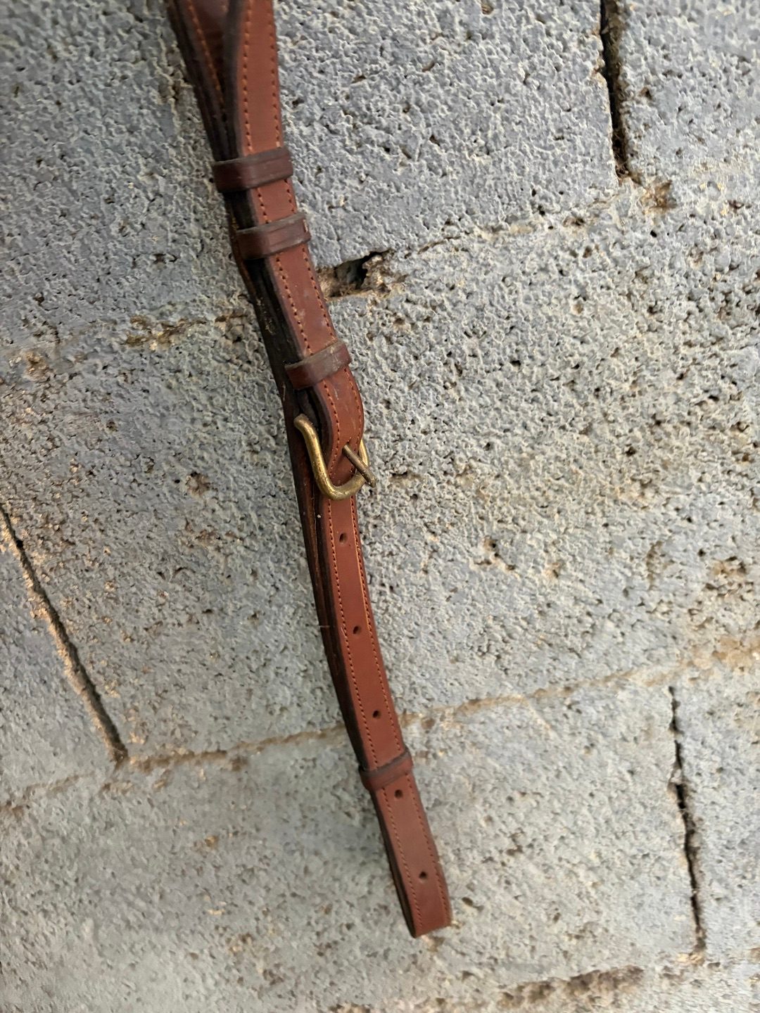 Collier de chasse CWD à pont réglable, média 10