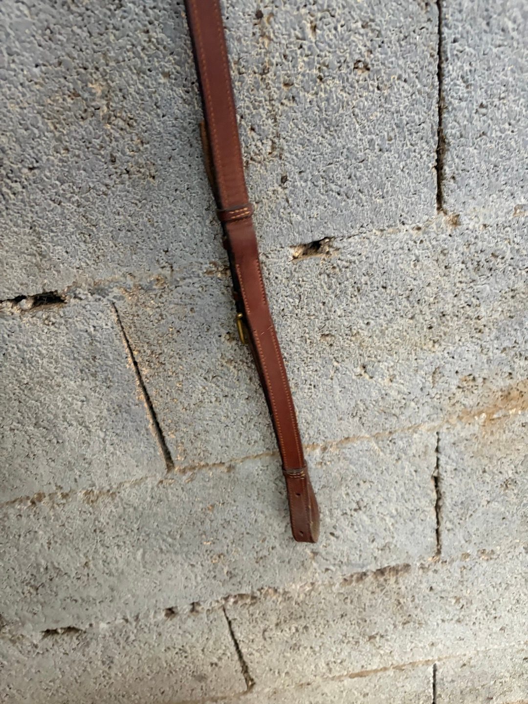 Collier de chasse CWD à pont réglable, média 8