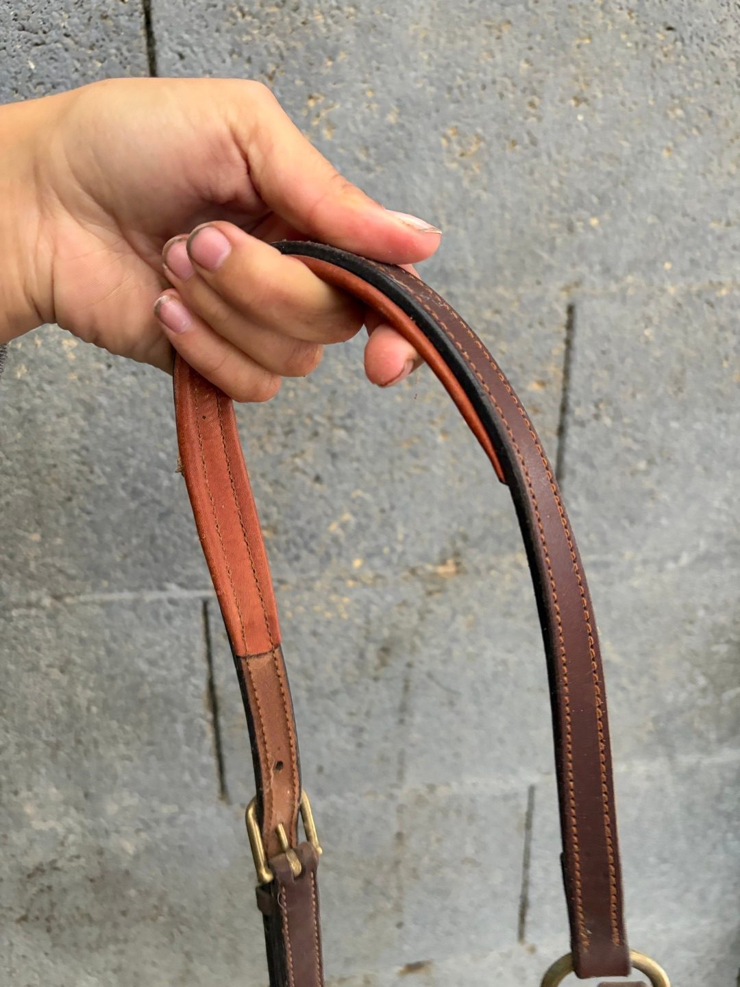 Collier de chasse CWD à pont réglable, média 5
