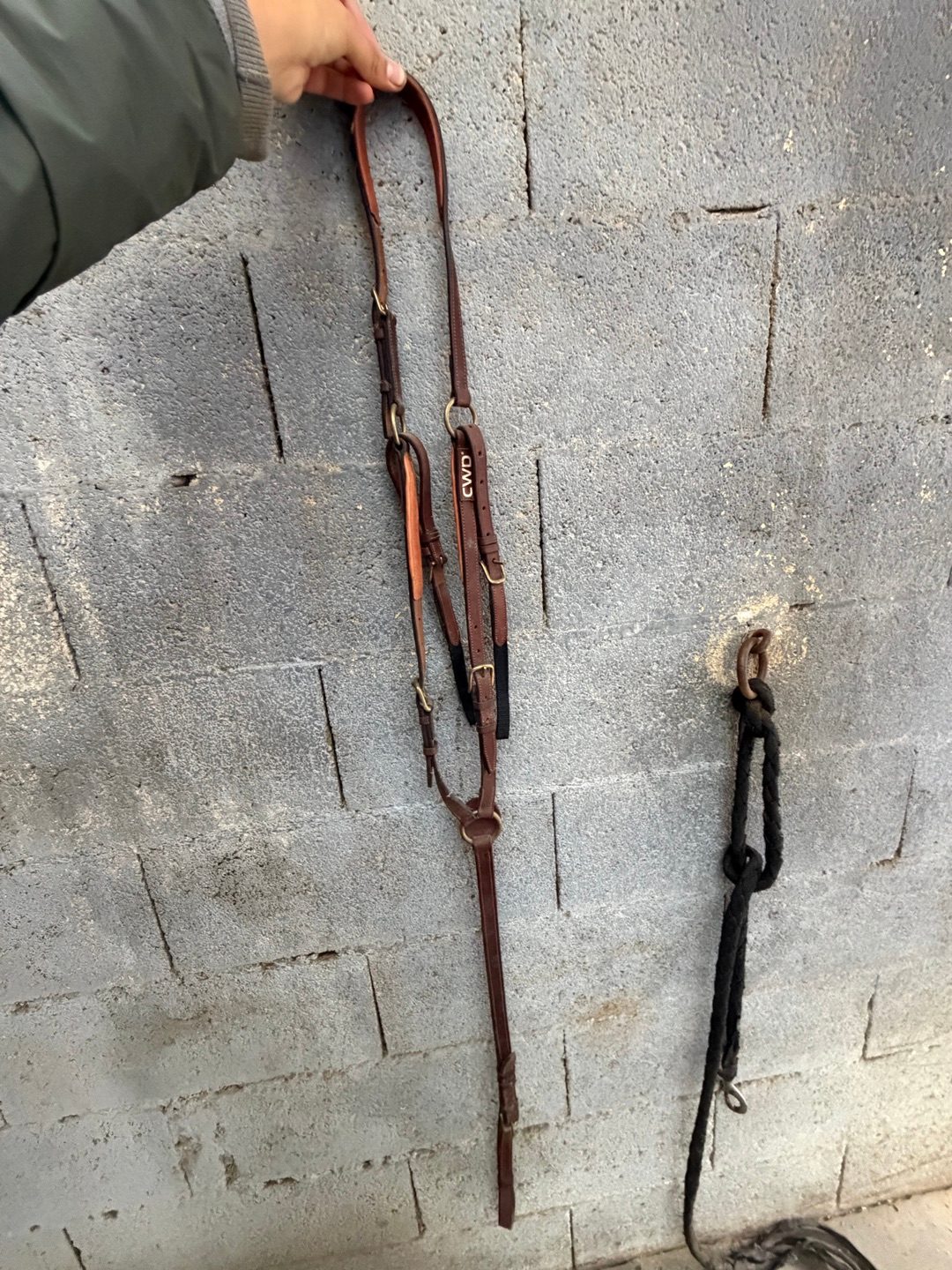 Collier de chasse CWD à pont réglable, média 3