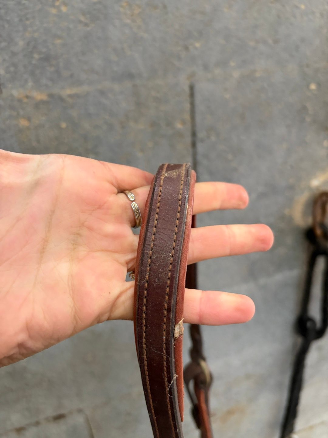 Collier de chasse CWD à pont réglable, média 6