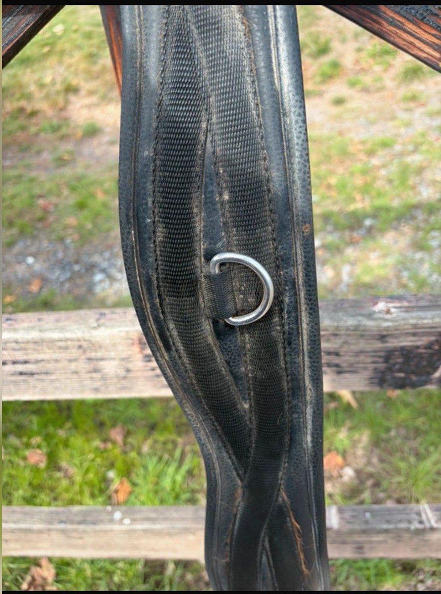 Sangle cuir, média 2