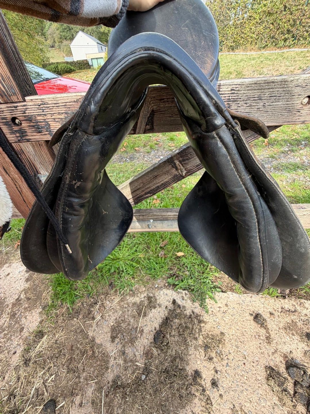 Selle mixte, média 4