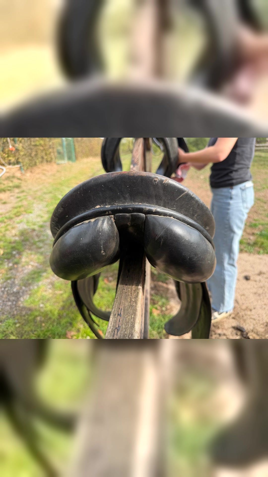 Selle mixte, média 3