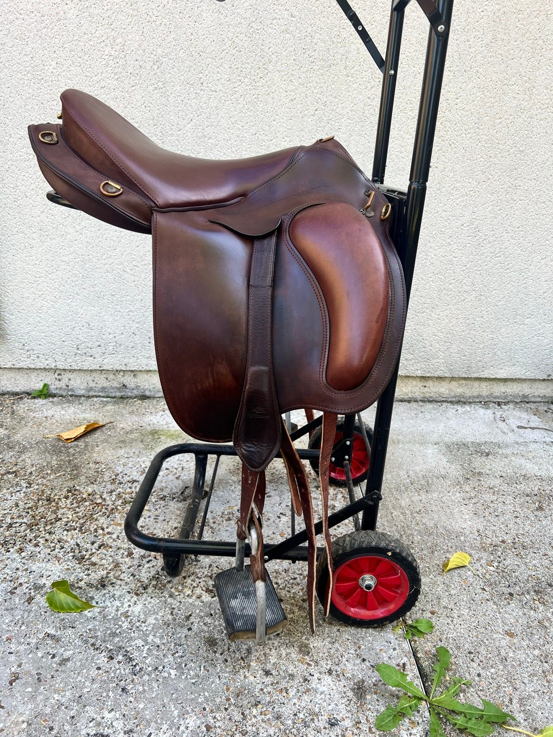 Selle Gaston mercier, média 3
