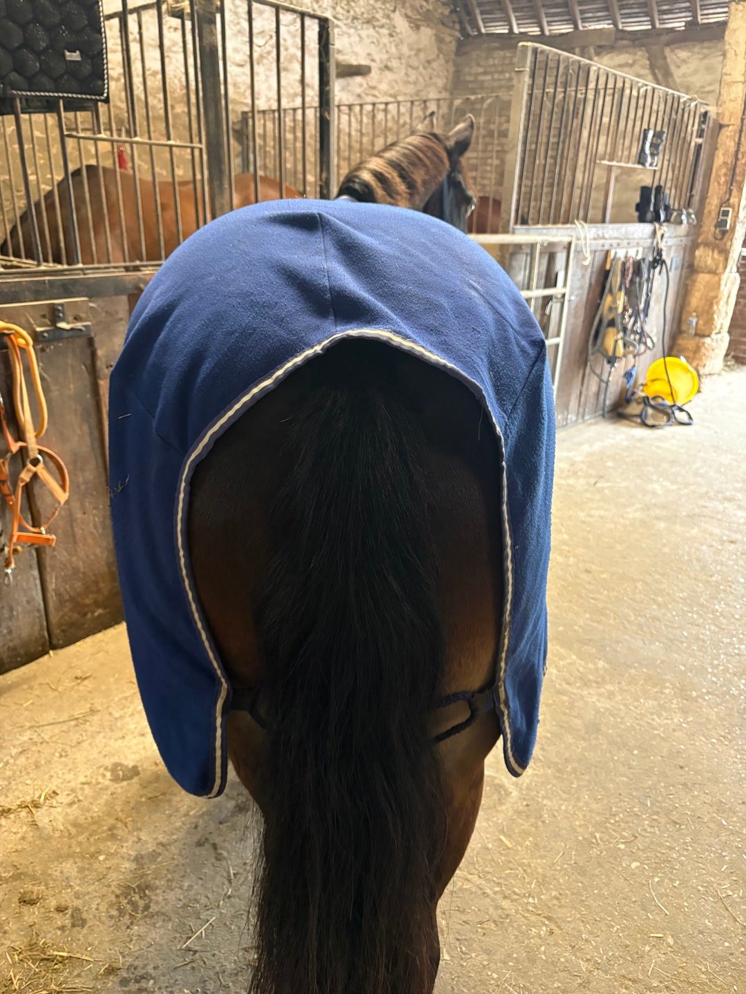 Couverture séchante/polaire horseware, média 4
