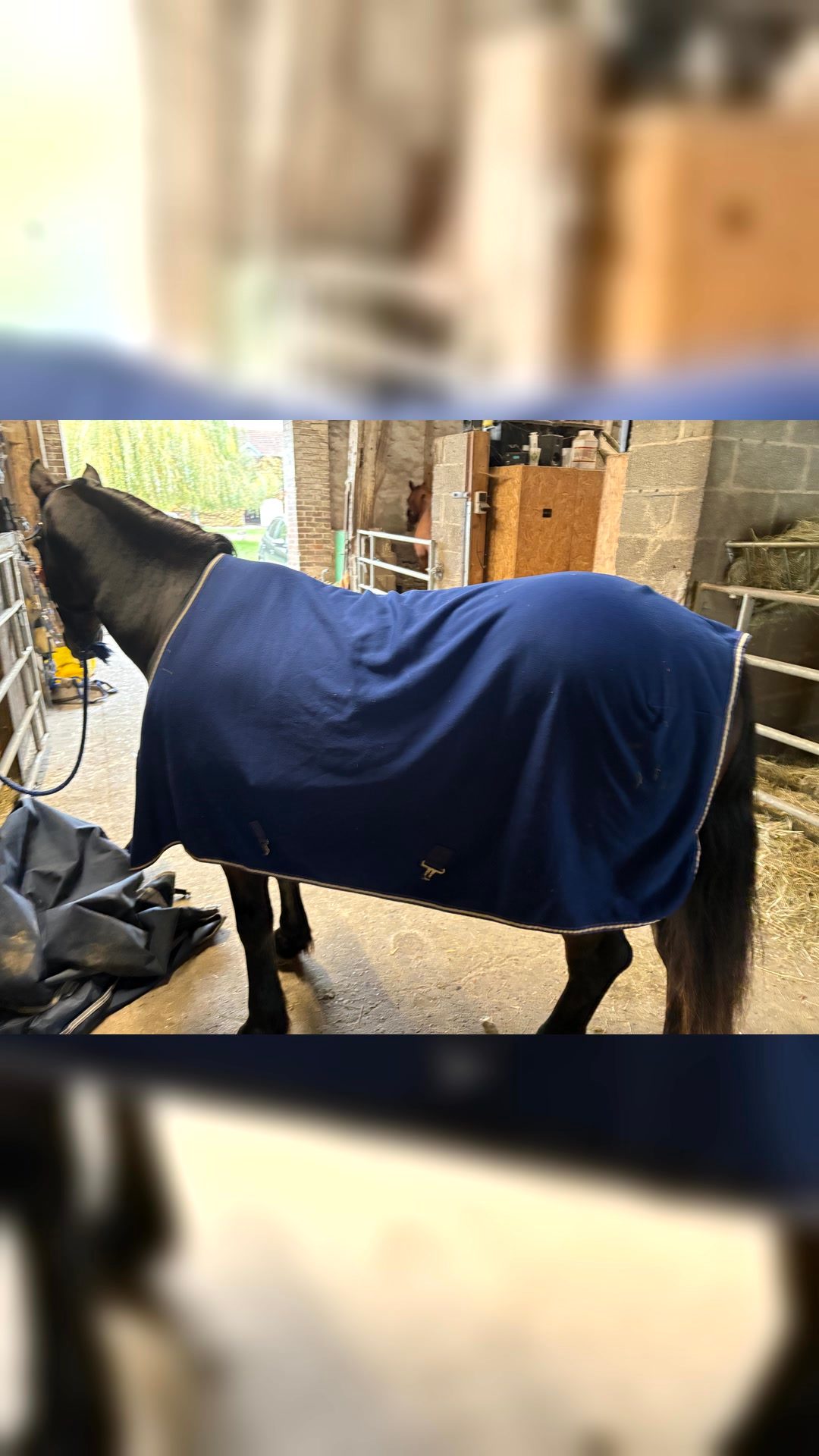Couverture séchante/polaire horseware, média 5