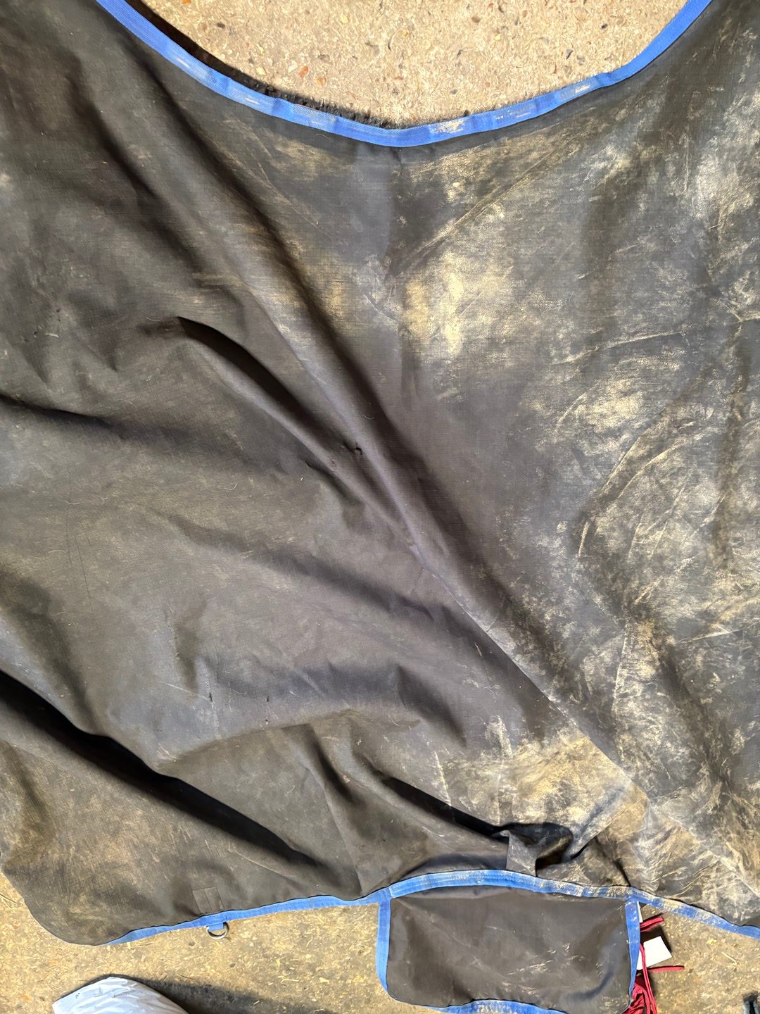Couverture horseware imperméable, média 2