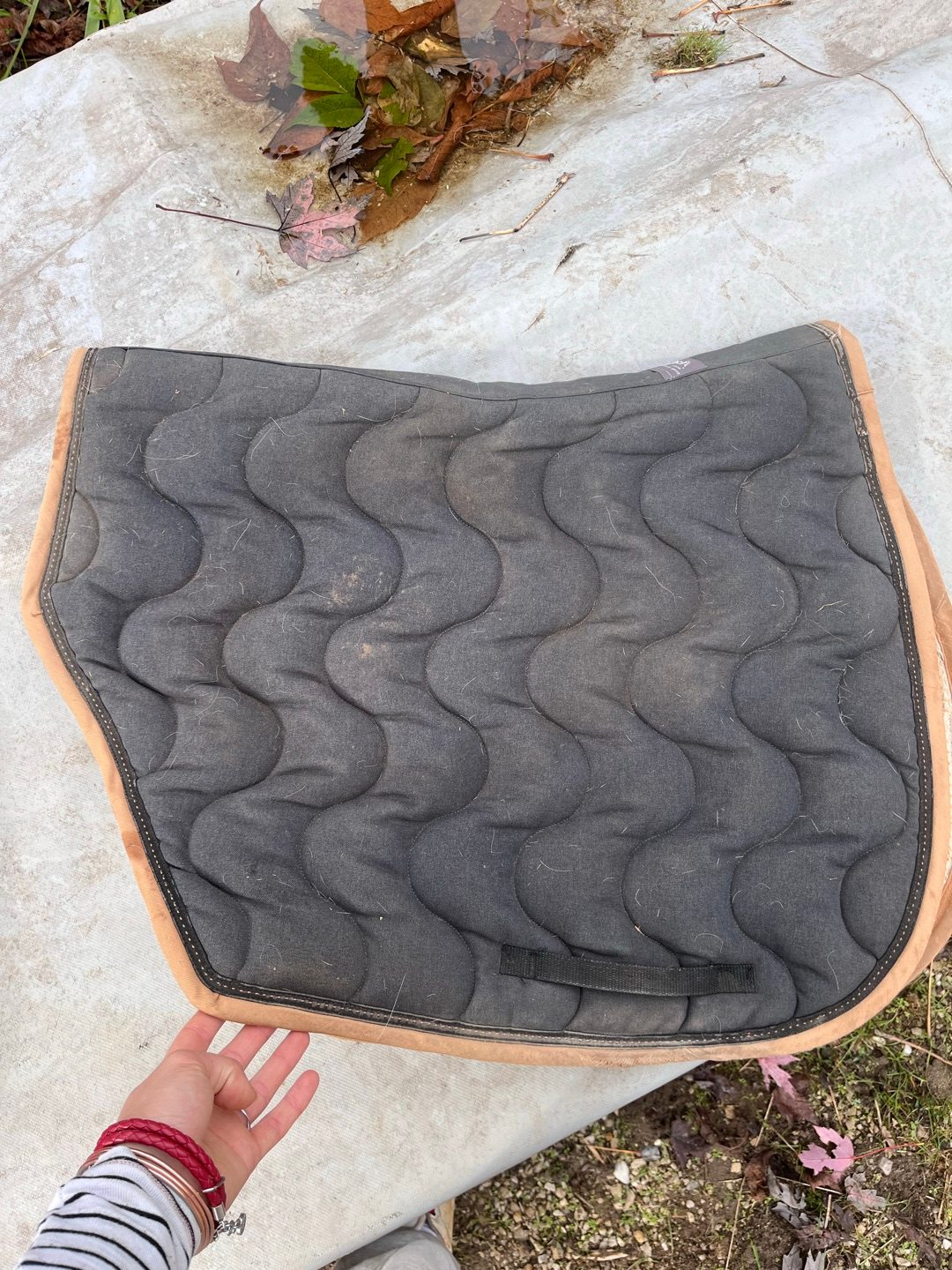 Tapis, média 2
