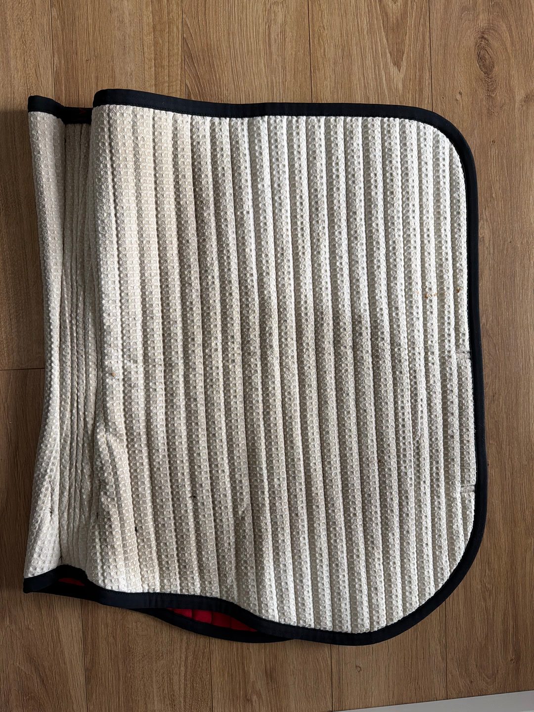 Tapis Cavalleria toscana, média 6