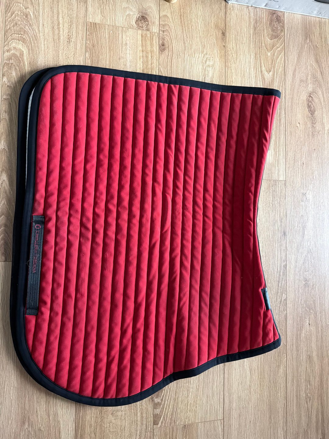 Tapis Cavalleria toscana, média 4