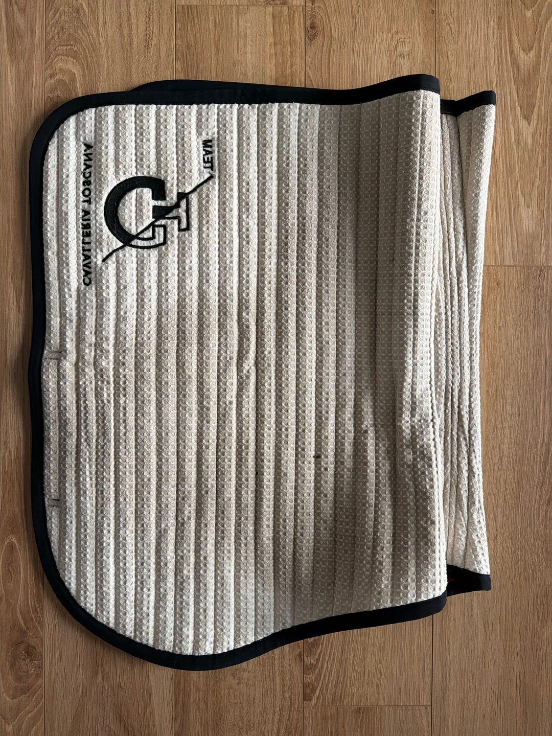 Tapis Cavalleria toscana, média 7