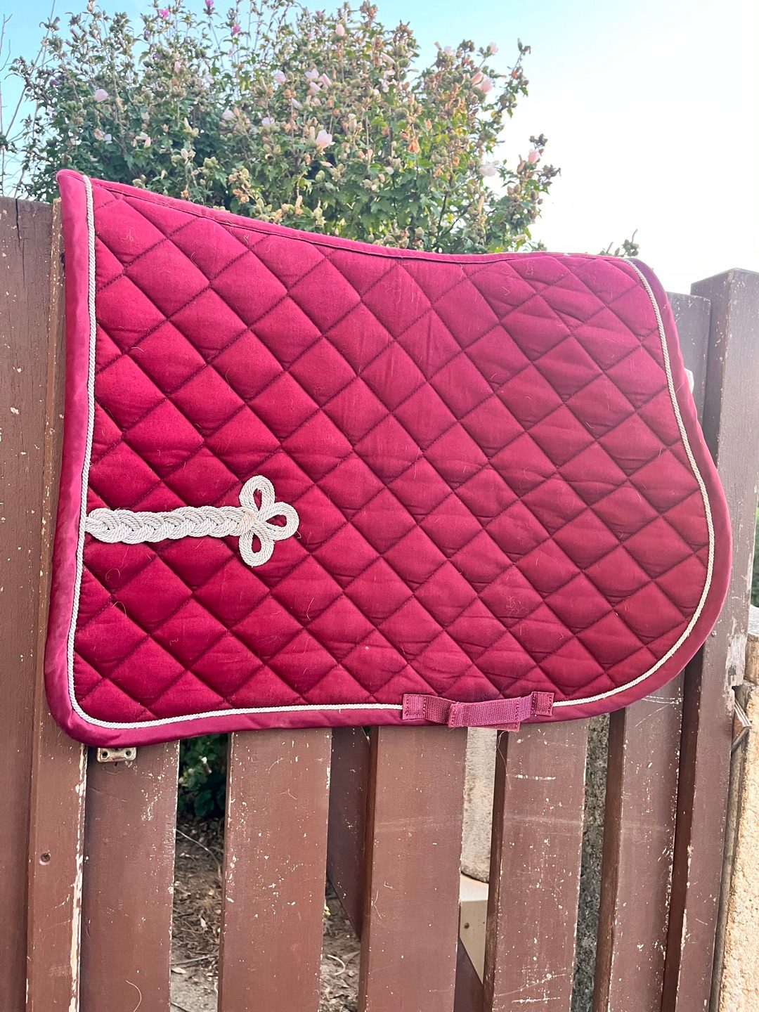 Tapis, média 2