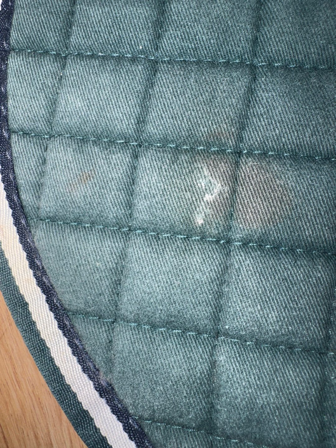 Tapis de selle vert, média 3