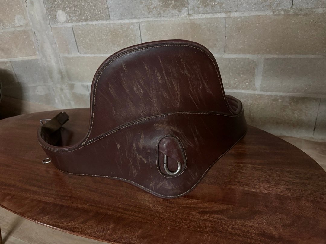 Ensemble selle étrivière et bavette, média 10