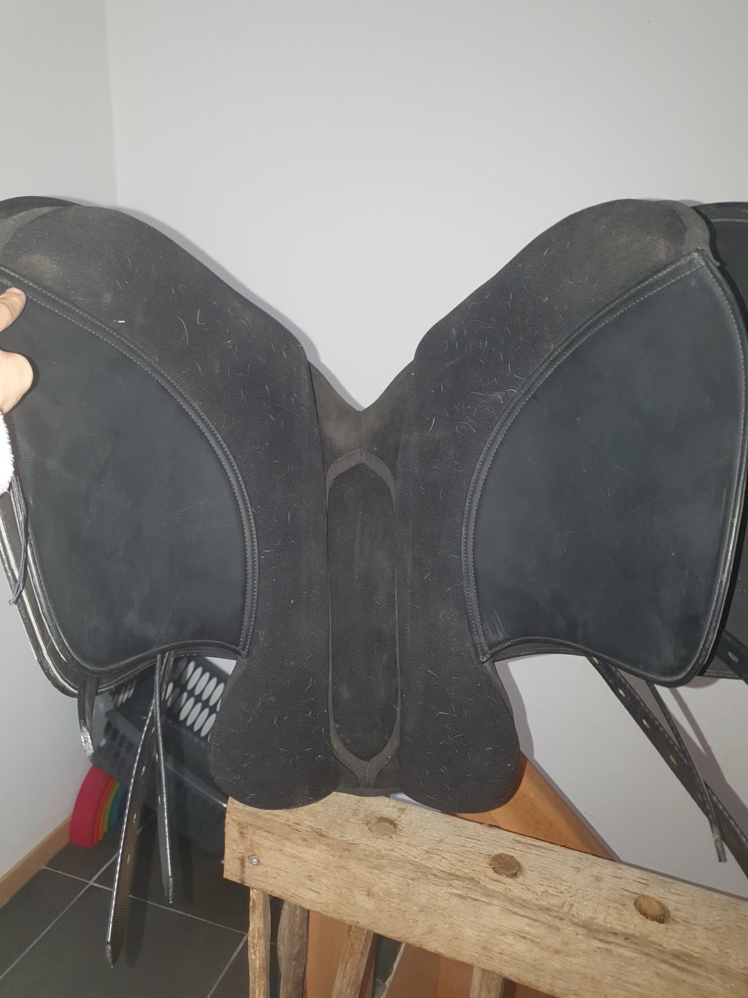 Selle norton, média 5