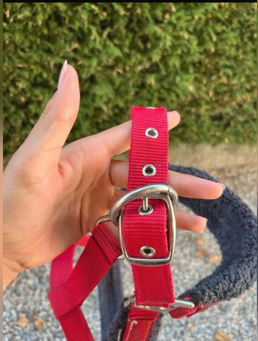 Licol taille cheval horse riding fouganza bleu et rouge, média 7