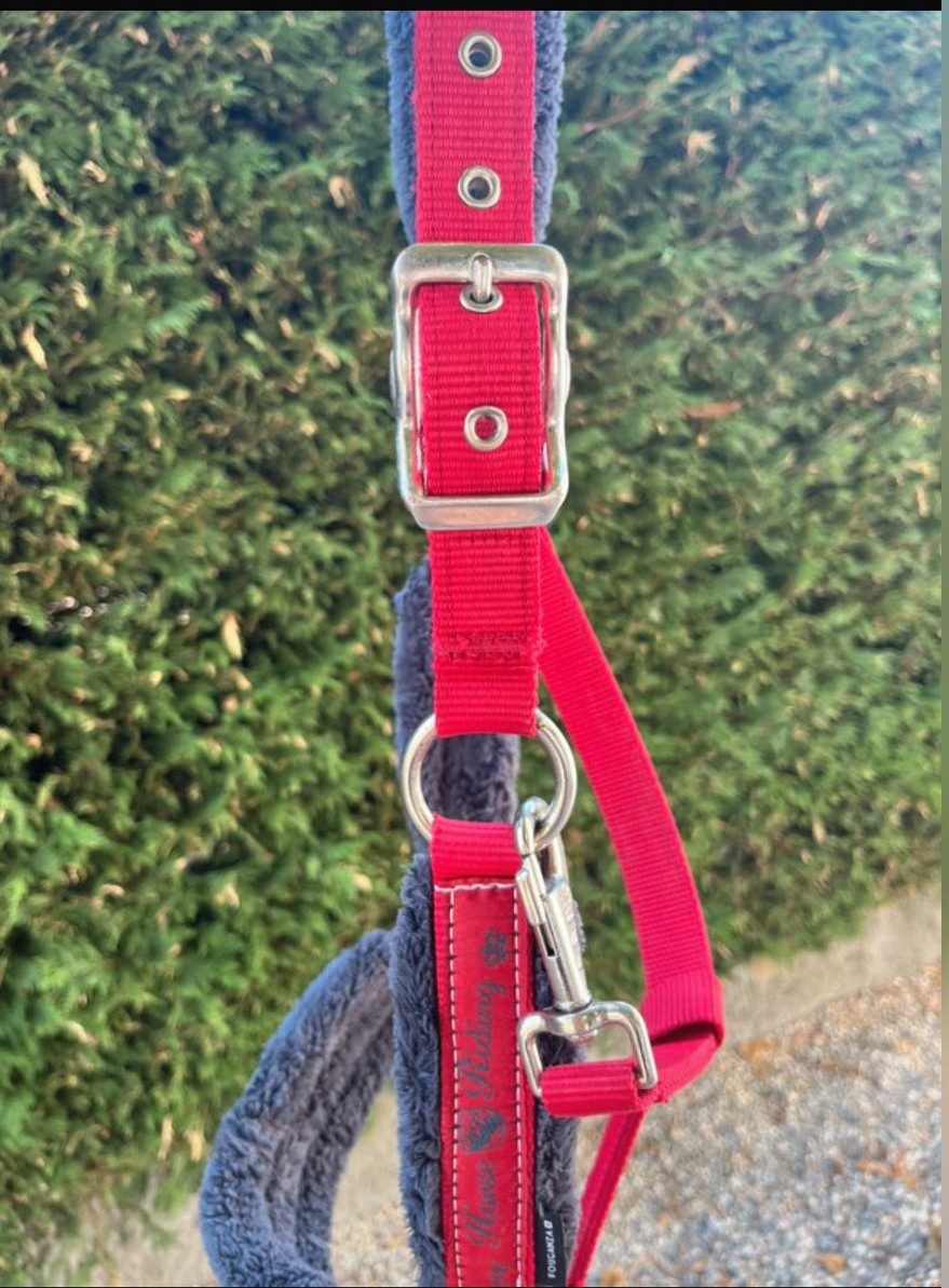 Licol taille cheval horse riding fouganza bleu et rouge, média 8