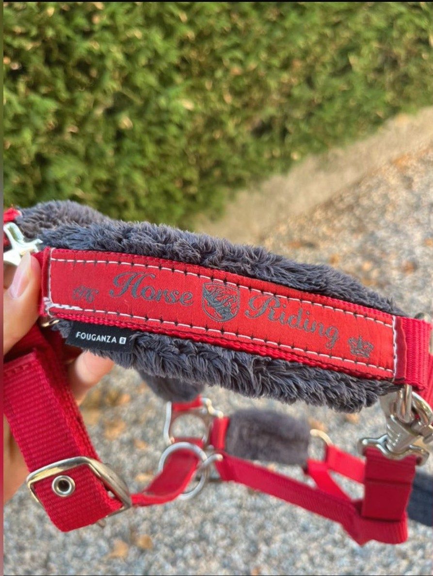 Licol taille cheval horse riding fouganza bleu et rouge, média 4