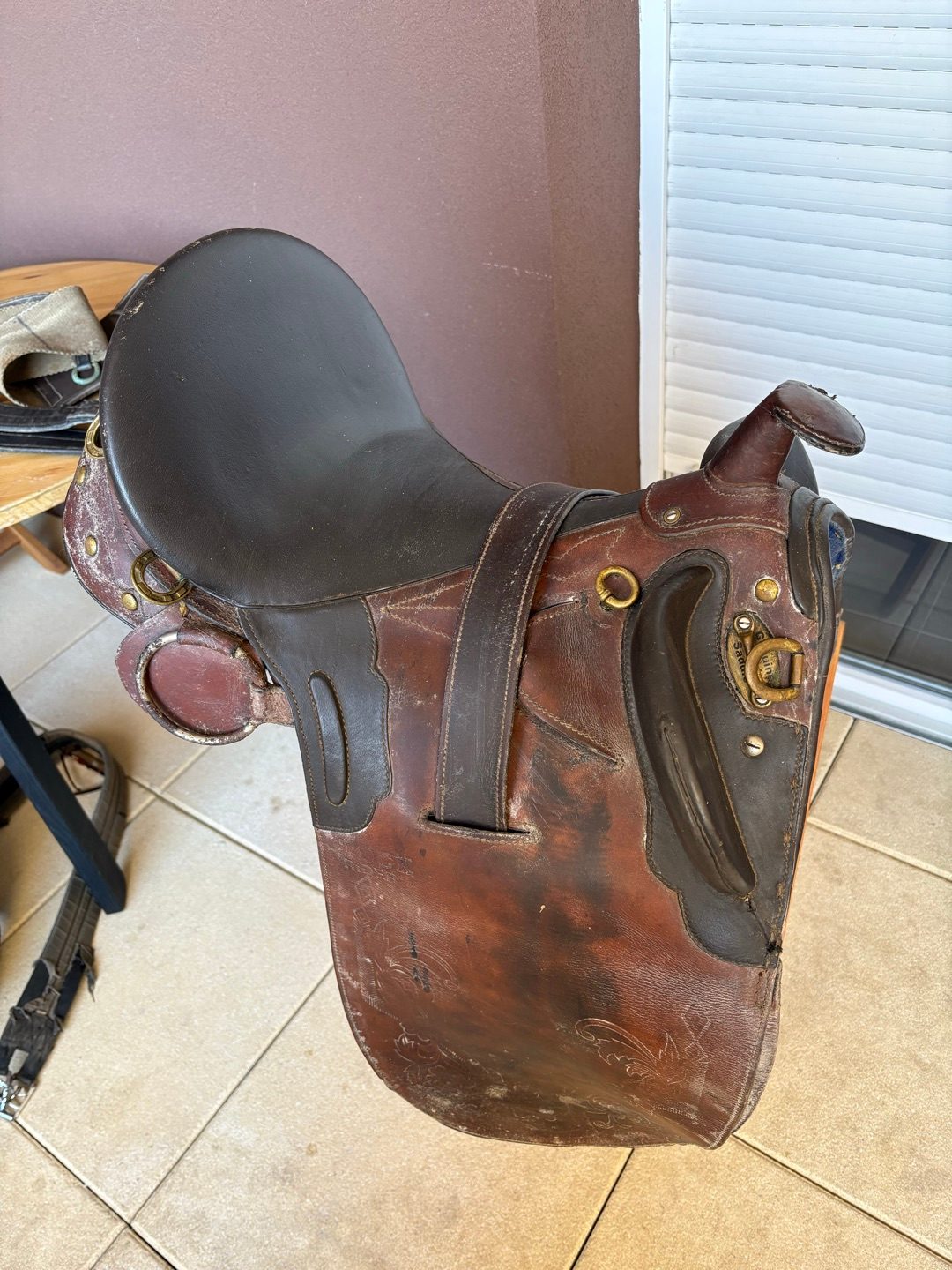 Selle australienne, média 2