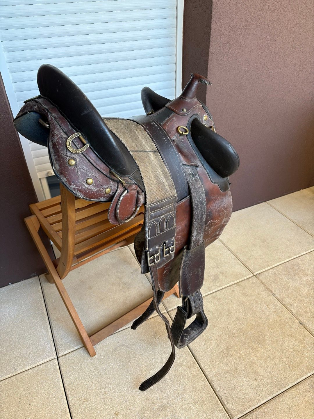 Selle australienne, média 4