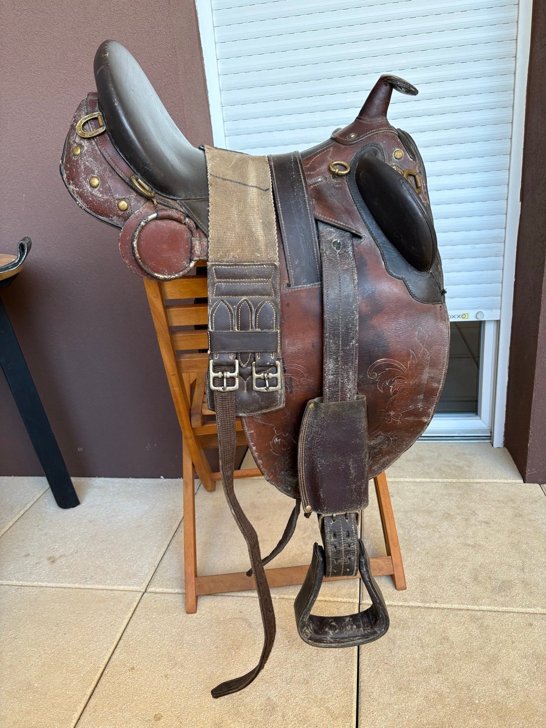 Selle australienne, média 3