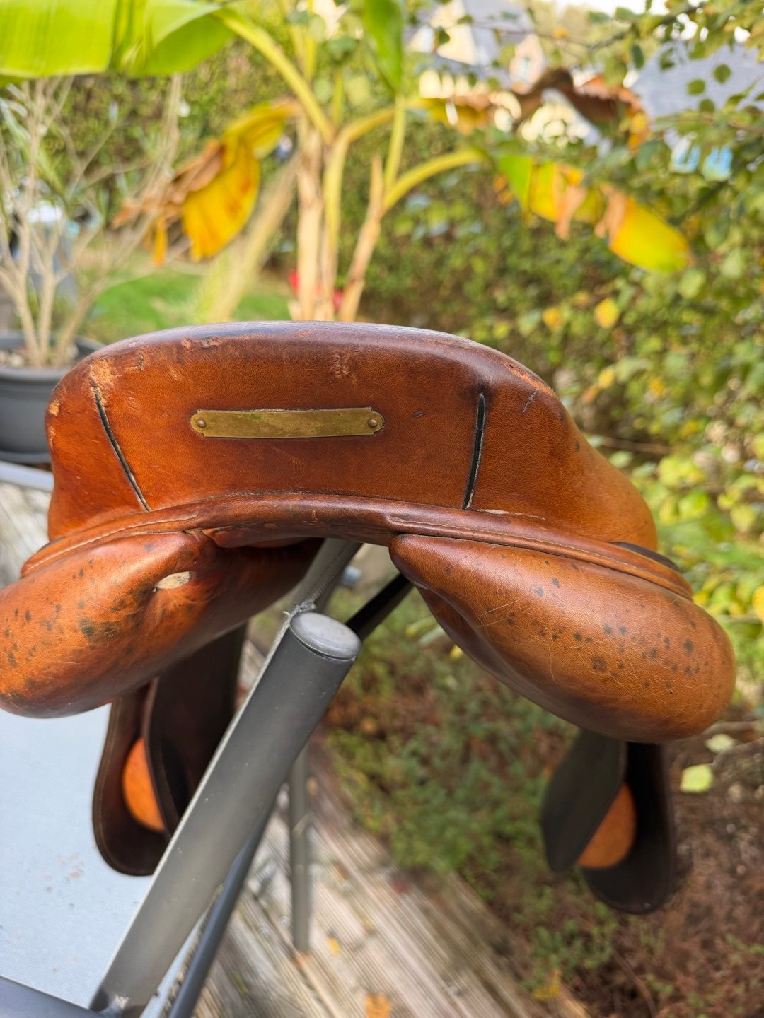 Selle CWD, média 5