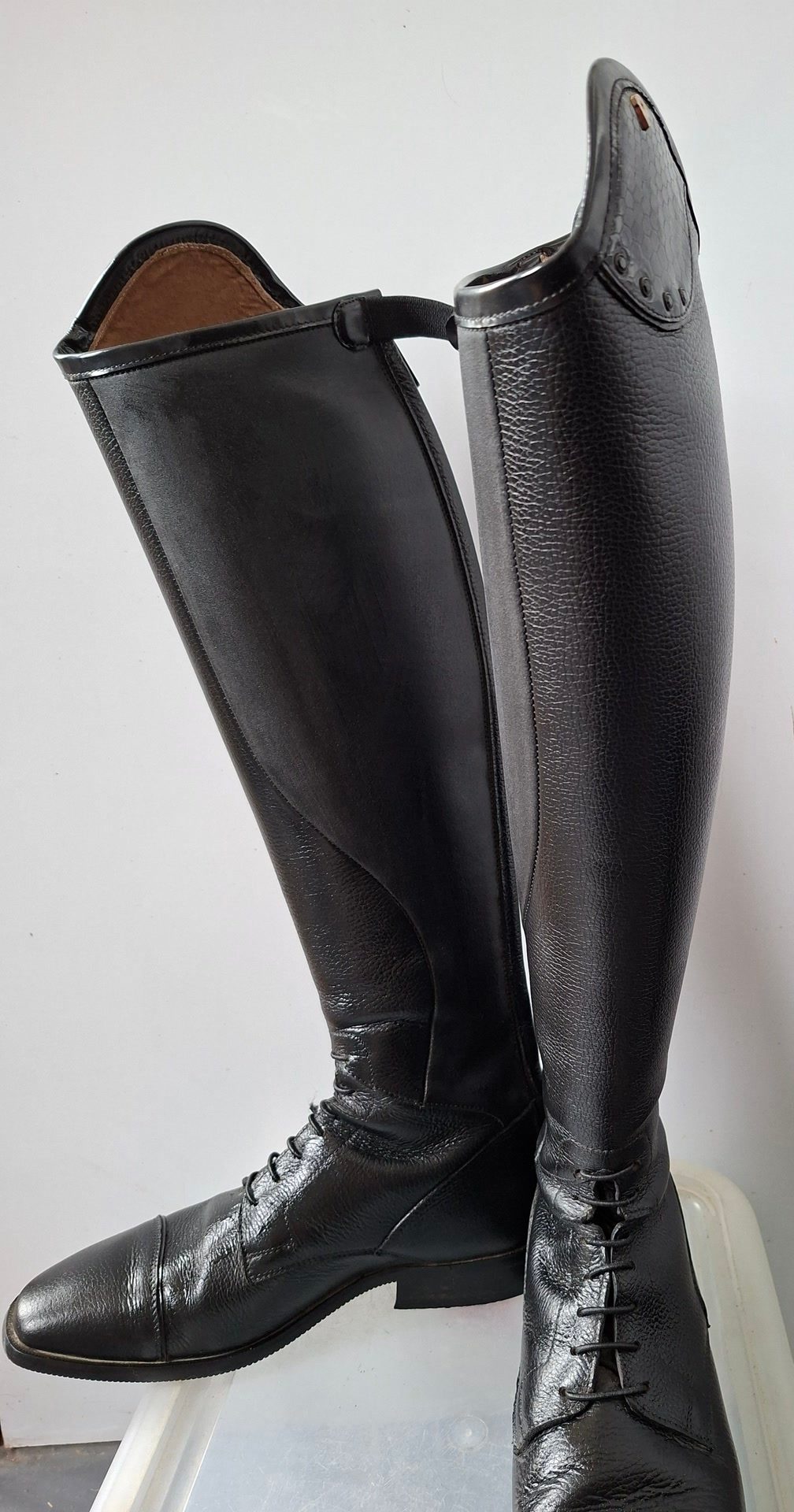 Bottes dressage Petrie, média 2