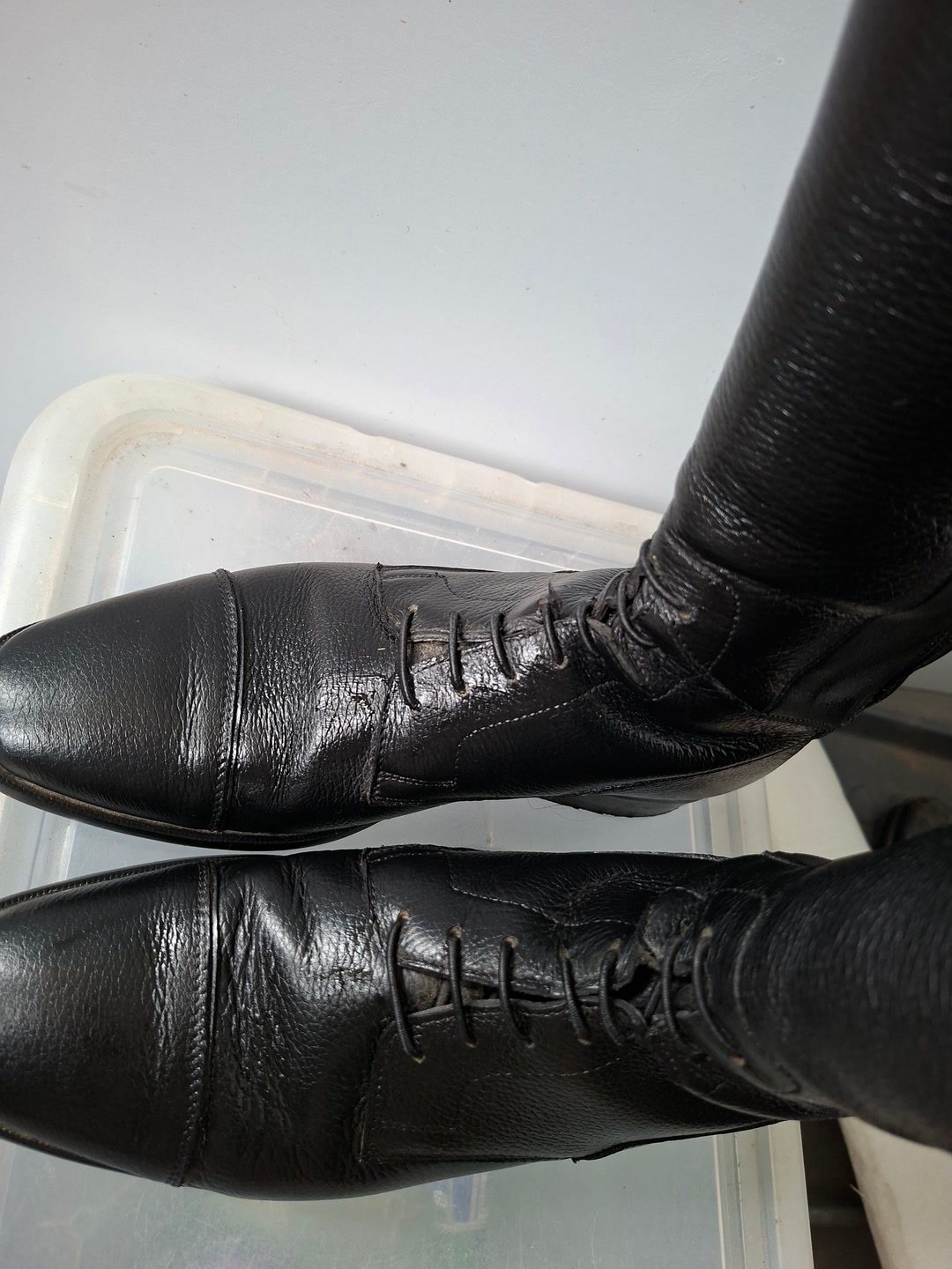 Bottes dressage Petrie, média 8