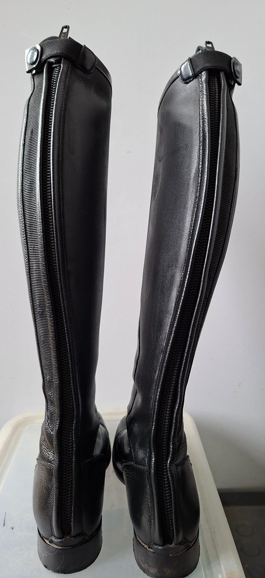 Bottes dressage Petrie, média 4