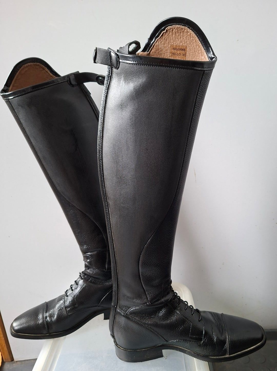 Bottes dressage Petrie, média 3
