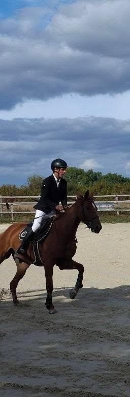 Coaching équestre personnalisé - Progressez avec votre cheval, média 2