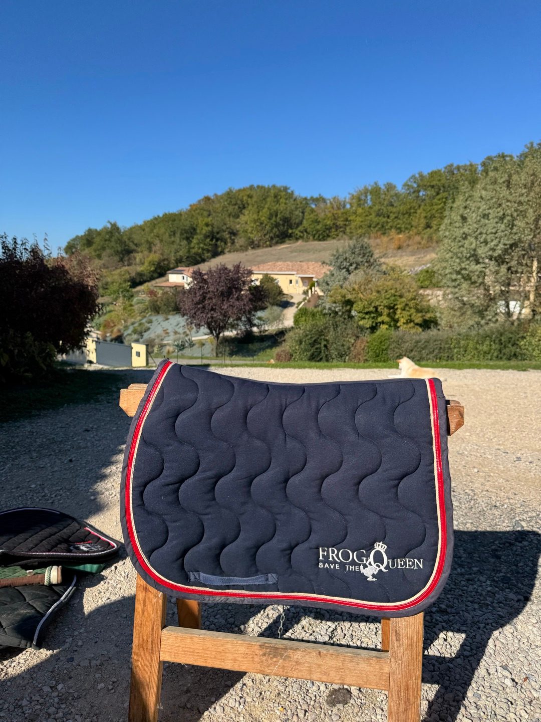 tapis frog queen, média 4